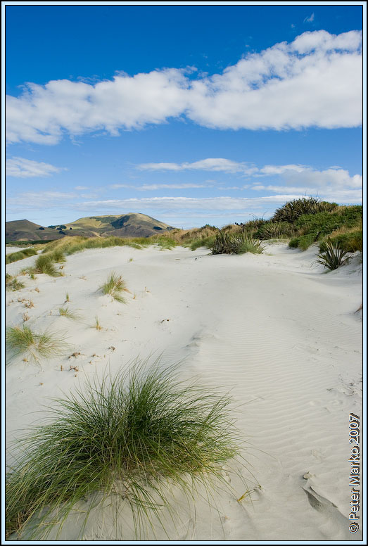 WV8X0320.jpg - Sand dunes on Victory Beach, Okia Reserve, Otago Peninsula, New Zealand