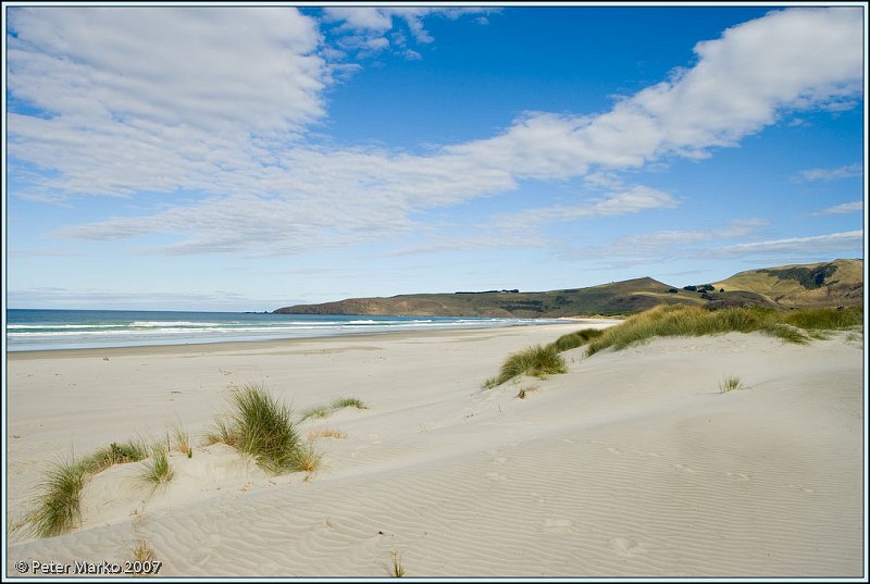 WV8X0327.jpg - Sand dunes on Victory Beach, Okia Reserve, Otago Peninsula, New Zealand