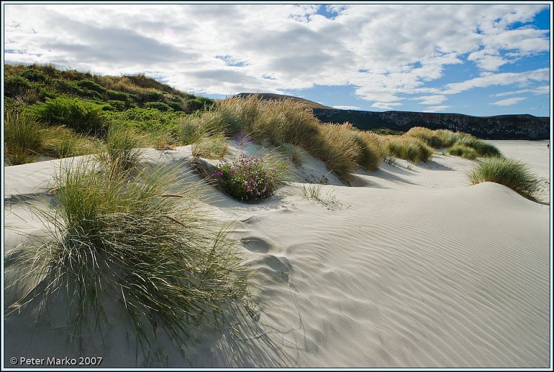 WV8X0337.jpg - Victory Beach, Okia Reserve, Otago Peninsula, New Zealand