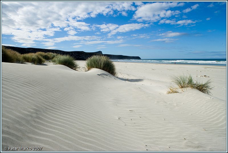 WV8X0339.jpg - Victory Beach, Okia Reserve, Otago Peninsula, New Zealand