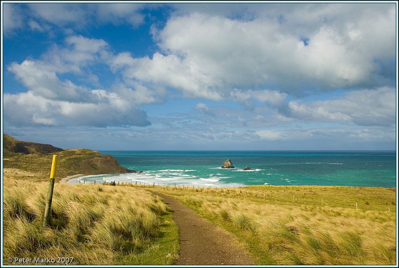 WV8X0626.jpg - Sandfly Beach, Otago Peninsula, New Zealand