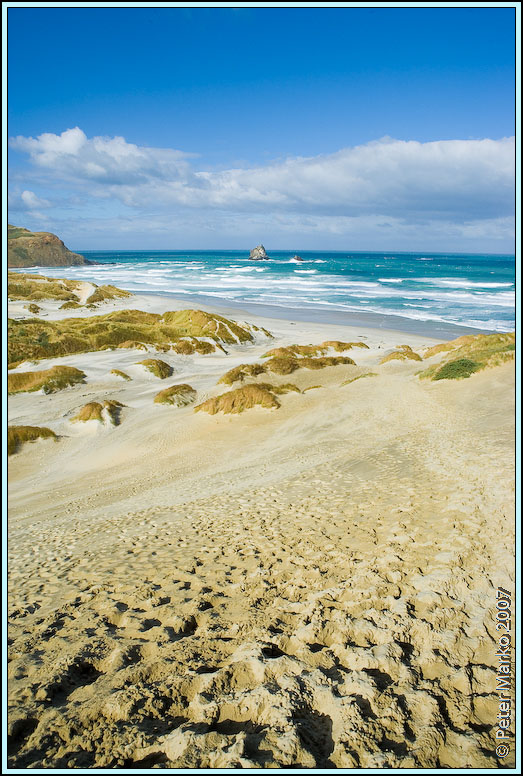 WV8X0640.jpg - Sandfly Beach, Otago Peninsula, New Zealand