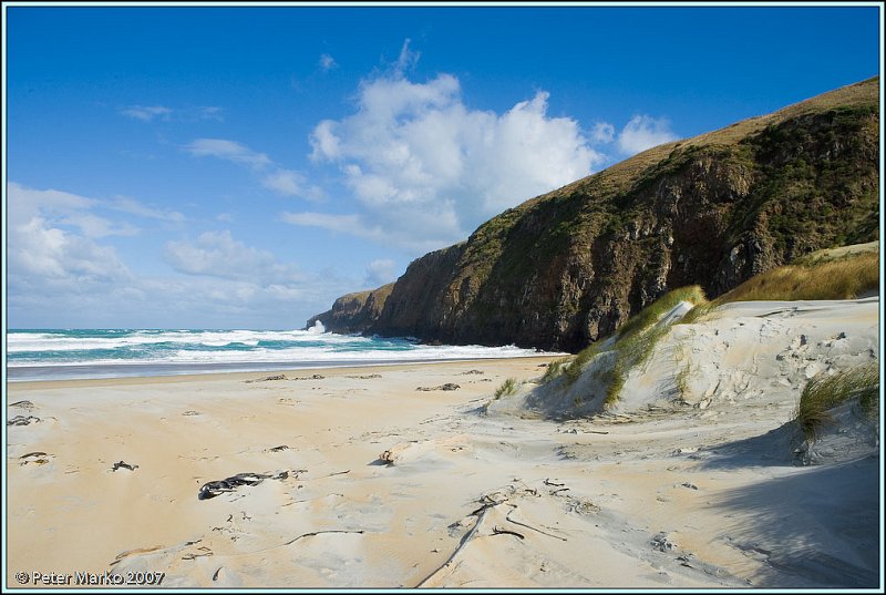 WV8X0647.jpg - Sandfly Beach, Otago Peninsula, New Zealand