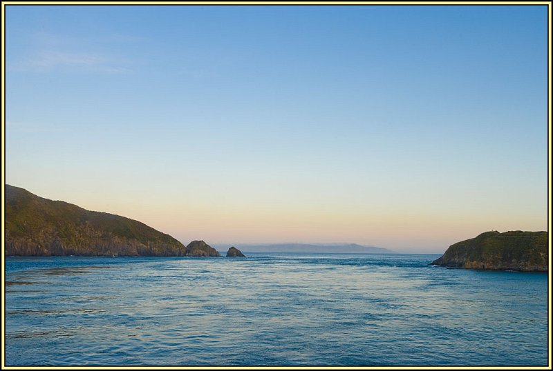 WV8X2296.jpg - Queen Charlotte Sound, New Zealand