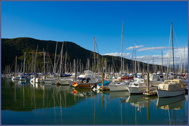 WV8X4038.jpg - Picton, Marlborough Sound, South Island, New Zealand