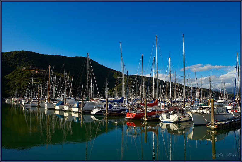 WV8X4039.jpg - Picton, Marlborough Sound, South Island, New Zealand