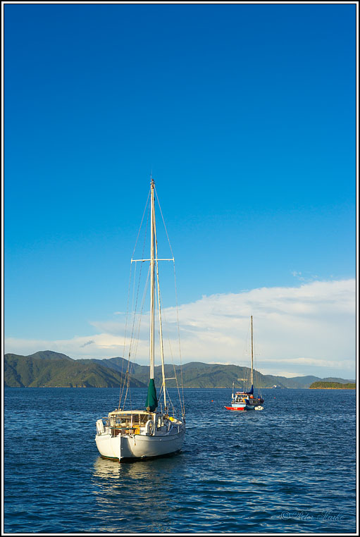 WV8X4059.jpg - Picton, Marlborough Sound, South Island, New Zealand