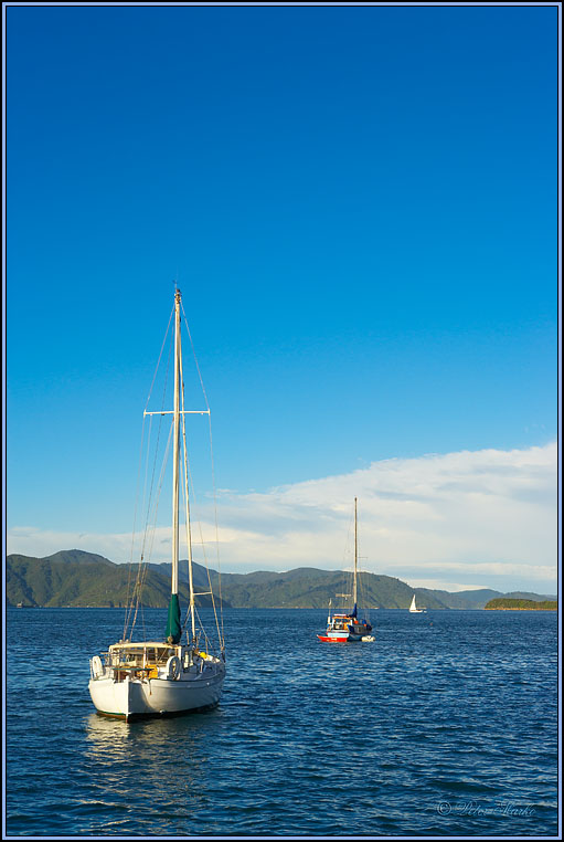 WV8X4062.jpg - Picton, Marlborough Sound, South Island, New Zealand