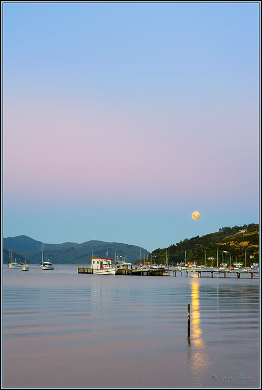 WV8X4092.jpg - Picton, Marlborough Sound, South Island, New Zealand