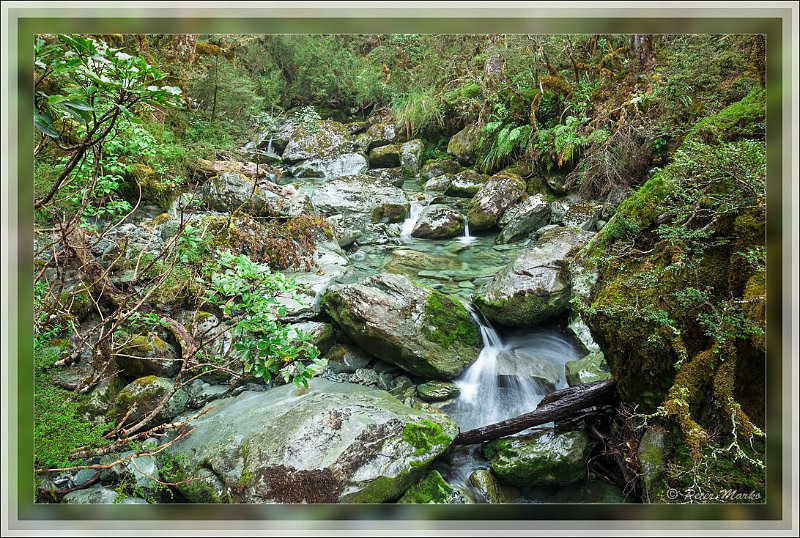 IMG_2743.jpg - Mountain stream. Routeburn Track in Fiordland National Park, New Zealand.