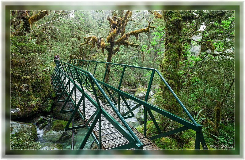 IMG_2745.jpg - Walker crossing bridge on Routeburn Track in Fiordland National Park, New Zealand.