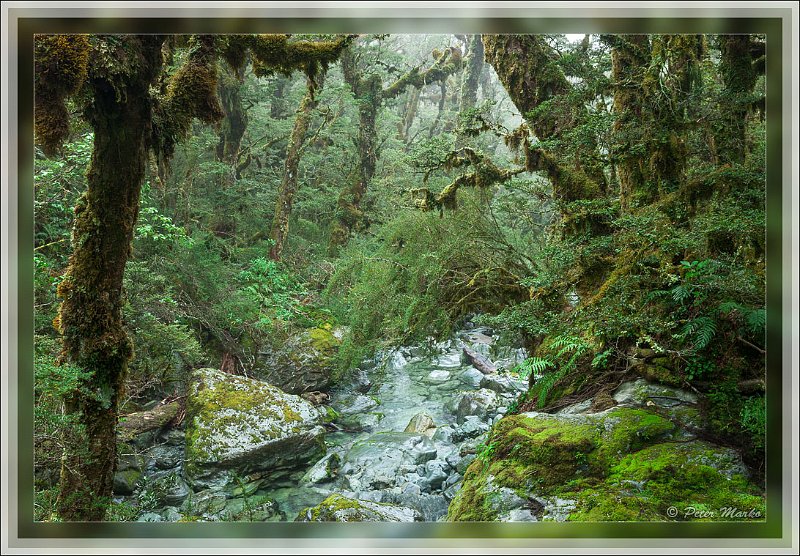 IMG_2747.jpg - Mountain stream. Routeburn Track in Fiordland National Park, New Zealand.