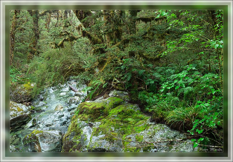 IMG_2749.jpg - Mountain stream. Routeburn Track in Fiordland National Park, New Zealand.