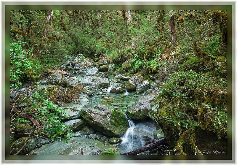 IMG_2752.jpg - Mountain stream. Routeburn Track in Fiordland National Park, New Zealand.