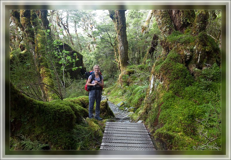 IMG_2808.jpg - Walker waiting at one way bridge. Routeburn Track in Fiordland National Park, New Zealand.