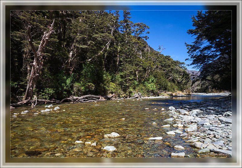 IMG_3243.jpg - Routeburn River, Fiordland National Park, New Zealand